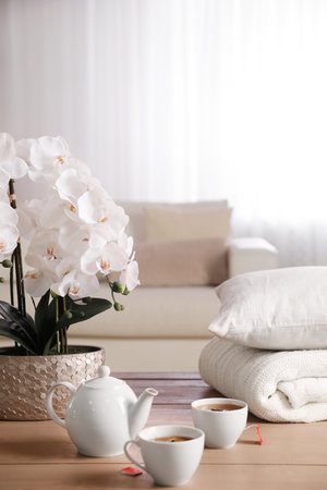 Beautiful orchid, teapot and cups of tea on table indoorsの写真素材