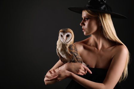Witch in black hat with owl on dark background. Scary fantasy characterの写真素材