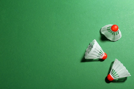 Badminton shuttlecocks on green background, flat lay. Space for textの写真素材