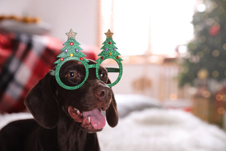 Cute dog wearing Christmas eyeglasses at home, space for textの写真素材