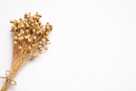 Bunch of beautiful dried flowers on white background, top viewの写真素材