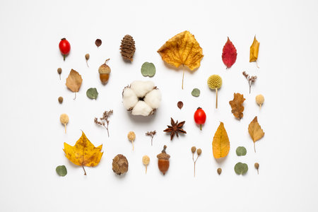 Flat lay composition with autumn leaves on white backgroundの写真素材