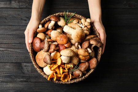 Woman holding wicker bowl with different wild mushrooms on black wooden table, top viewの写真素材