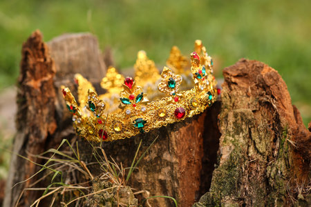 Beautiful golden crown on stump outdoors, closeup. fantasy itemの写真素材