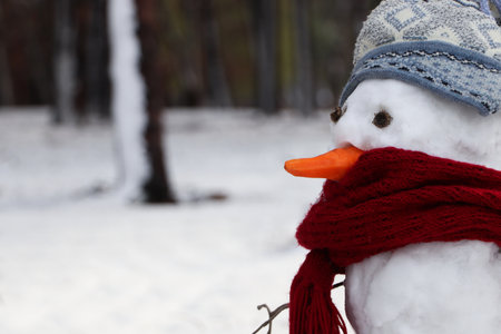 Funny snowman with scarf and hat in winter forest, closeup. Space for textの写真素材