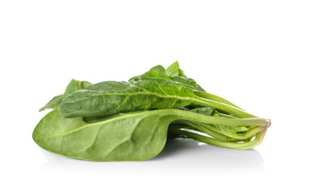 Fresh healthy green spinach leaves isolated on whiteの写真素材