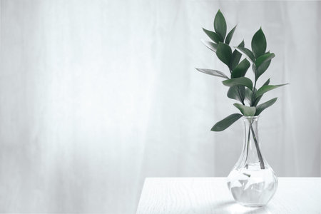 Glass vase with green branches on white table indoors, space for textの写真素材