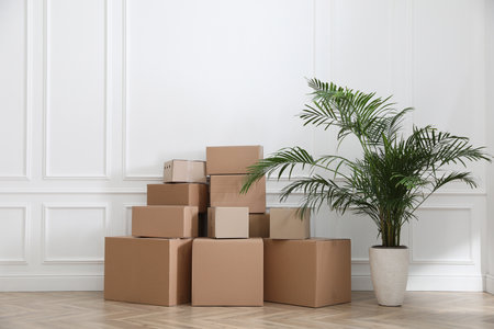 Heap of cardboard boxes and houseplant near white wall indoors. moving day