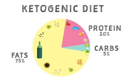 Food chart on white background, illustration. Ketogenic dietの写真素材