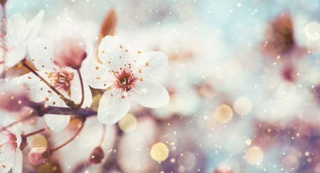Closeup view of blossoming tree outdoors on spring day, banner designの写真素材