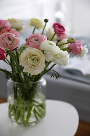 Bouquet of beautiful ranunculuses on the table in the bedroomの写真素材