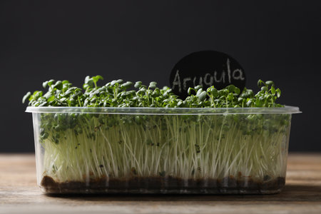 Sprouted arugula seeds in plastic container on wooden tableの写真素材