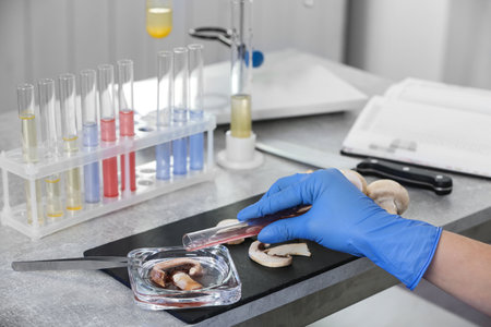 Scientist inspecting mushrooms at table in laboratory, closeup. food quality control