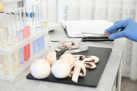 Scientist inspecting mushrooms at table in laboratory, closeup. food quality controlの写真素材