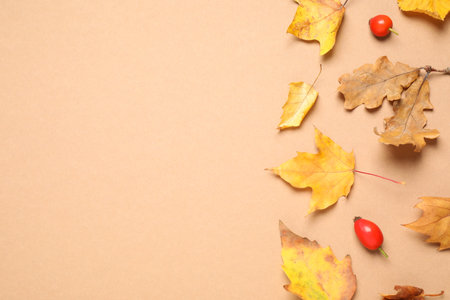 Flat lay composition with autumn leaves on beige background, space for textの写真素材