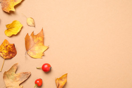 Flat lay composition with autumn leaves on beige background, space for textの写真素材