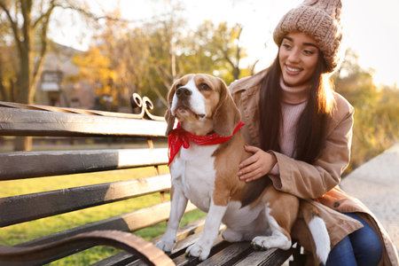 Woman walking her cute Beagle dog in autumn parkの写真素材