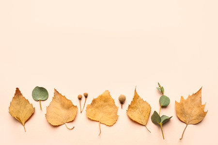 Flat lay composition with autumn leaves on light background, space for textの写真素材