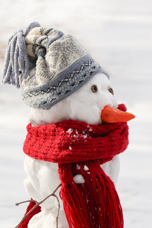 Funny snowman with scarf and hat in winter forest, closeupの写真素材
