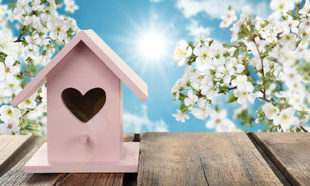 Beautiful bird house on wooden table outdoors, space for textの写真素材