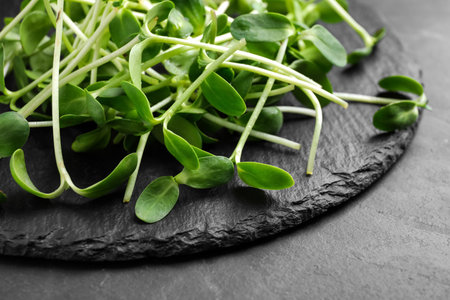 Fresh microgreens on black slate table, closeupの写真素材