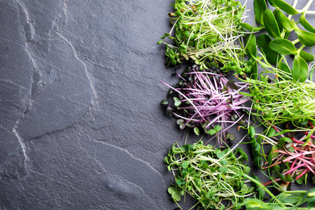 Different microgreens on black slate table, flat lay. Space for textの写真素材