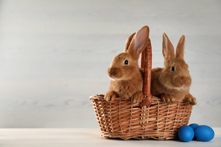 Cute bunnies, basket and Easter eggs on white table. Space for textの写真素材