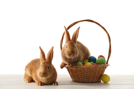Cute bunnies and basket with Easter eggs on table against white backgroundの写真素材