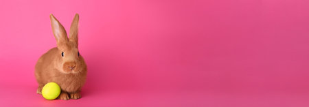 Cute bunny and Easter egg on pink background, space for textの写真素材