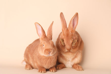 Cute bunnies on beige background. easter symbolの写真素材