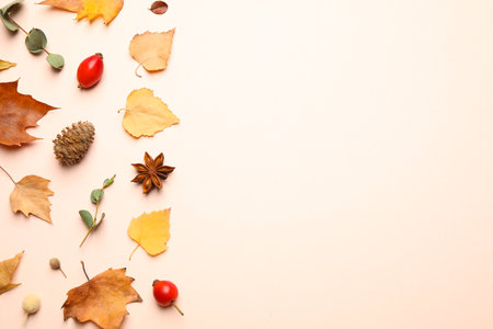 Flat lay composition with autumn leaves on light background, space for textの写真素材