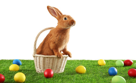Cute bunny and Easter eggs on green grass against white background, space for text