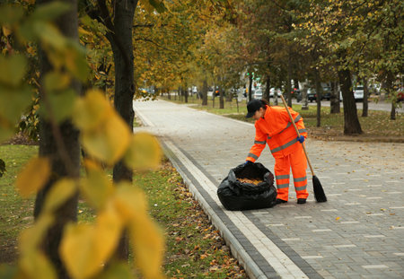 Street sweep cleaning fallen leaves outdoors on autumn dayの写真素材