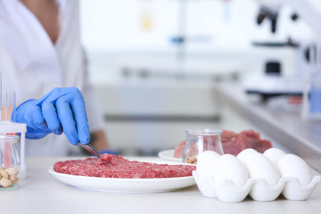 Scientist inspecting forcemeat at table in laboratory, closeup. food quality controlの写真素材