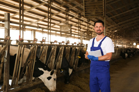 Worker with notes in cowshed on farm. animal husbandryの写真素材