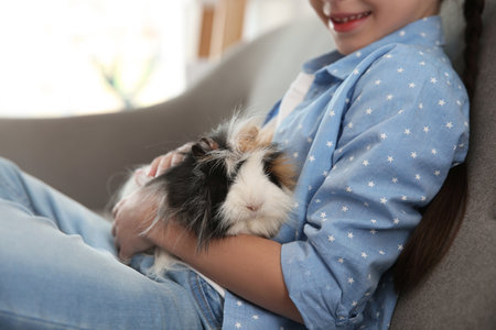 Happy little girl with guinea pig at home, closeup. Childhood petの写真素材
