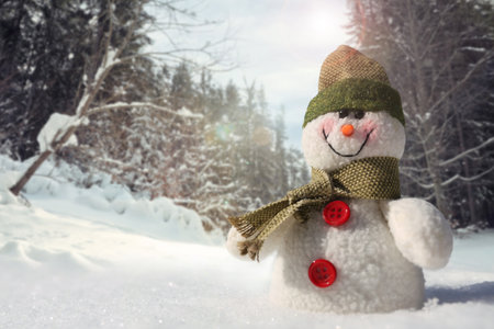 Cute small decorative snowman outdoors on sunny day, space for textの写真素材