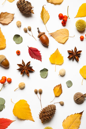Flat lay composition with autumn leaves on white backgroundの写真素材