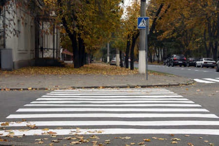 Pedestrian crossing on empty city street in autumnの写真素材
