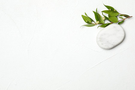 Spa stone and branch of plant on white table, flat lay. Space for textの写真素材