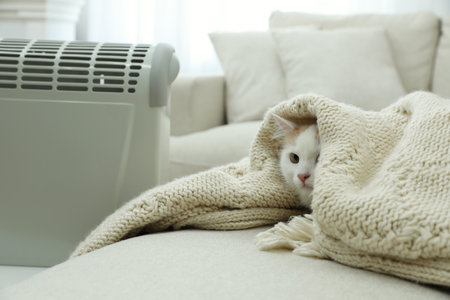 Adorable cat under plaid near modern electric heater indoorsの写真素材