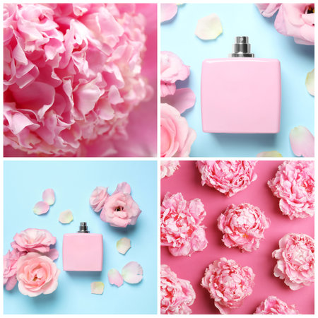 Creative collage with photos of luxury perfume and beautiful flowers on color backgroundsの写真素材