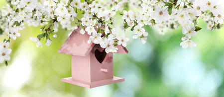 Beautiful wooden bird house hanging on blossoming tree outdoors, banner design. spring timeの写真素材