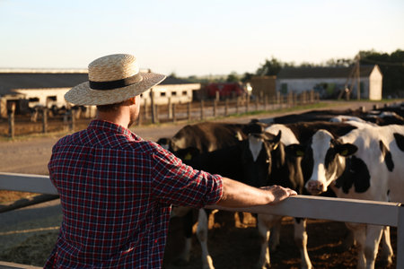 Worker standing near cow pen on farm. animal husbandryの写真素材