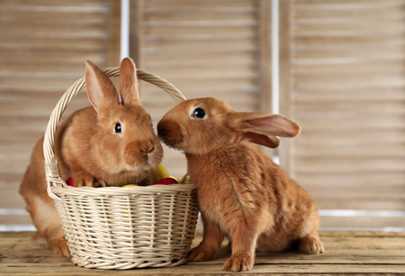 Cute bunnies and basket with Easter eggs on wooden table against blurred backgroundの写真素材