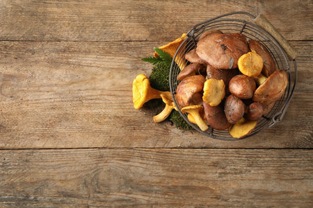Flat lay composition with different mushrooms and metal basket on wooden table, space for textの写真素材