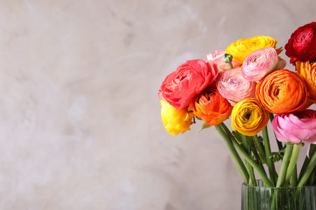 Beautiful fresh ranunculus flowers in vase on color background, closeup. Space for textの写真素材