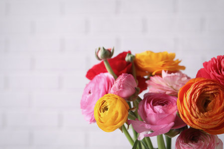 Beautiful fresh ranunculus flowers near white brick wall, closeup. Space for textの写真素材
