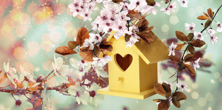 Beautiful wooden bird house hanging on blossoming tree outdoors, banner design. spring timeの写真素材