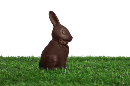 Chocolate bunny on green grass against white background. Easter celebrationの写真素材